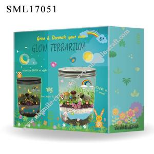 Glow Terrarium - CU17051